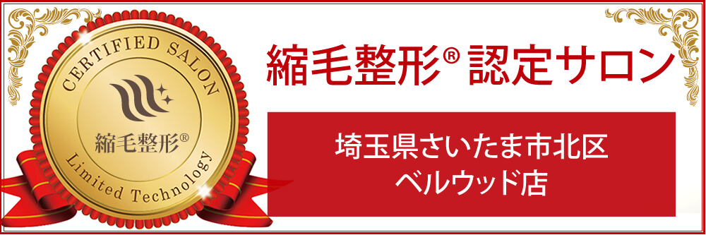 さいたま市北区のヘアモード ベルウッド 縮毛矯正 乾かすだけ ビビリ毛修復 が証明