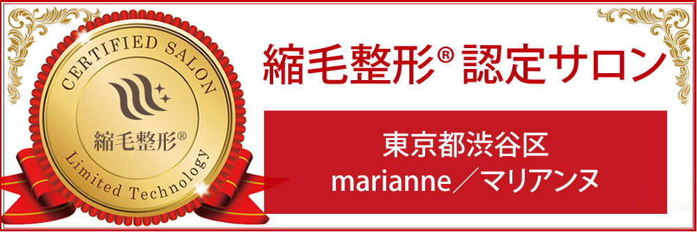 表参道駅から徒歩5分 縮毛矯正マリアンヌ 縮毛矯正 乾かすだけ ビビリ毛修復 が証明