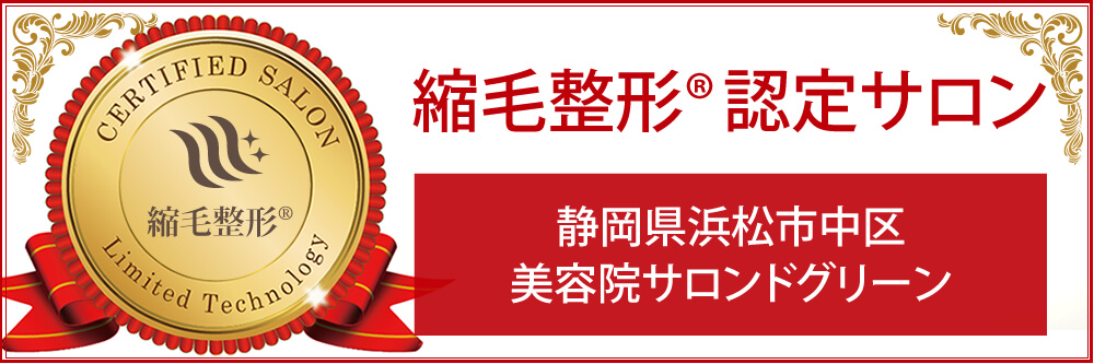 浜松市中区の美容院サロンドグリーン 縮毛矯正 乾かすだけ ビビリ毛修復 が証明